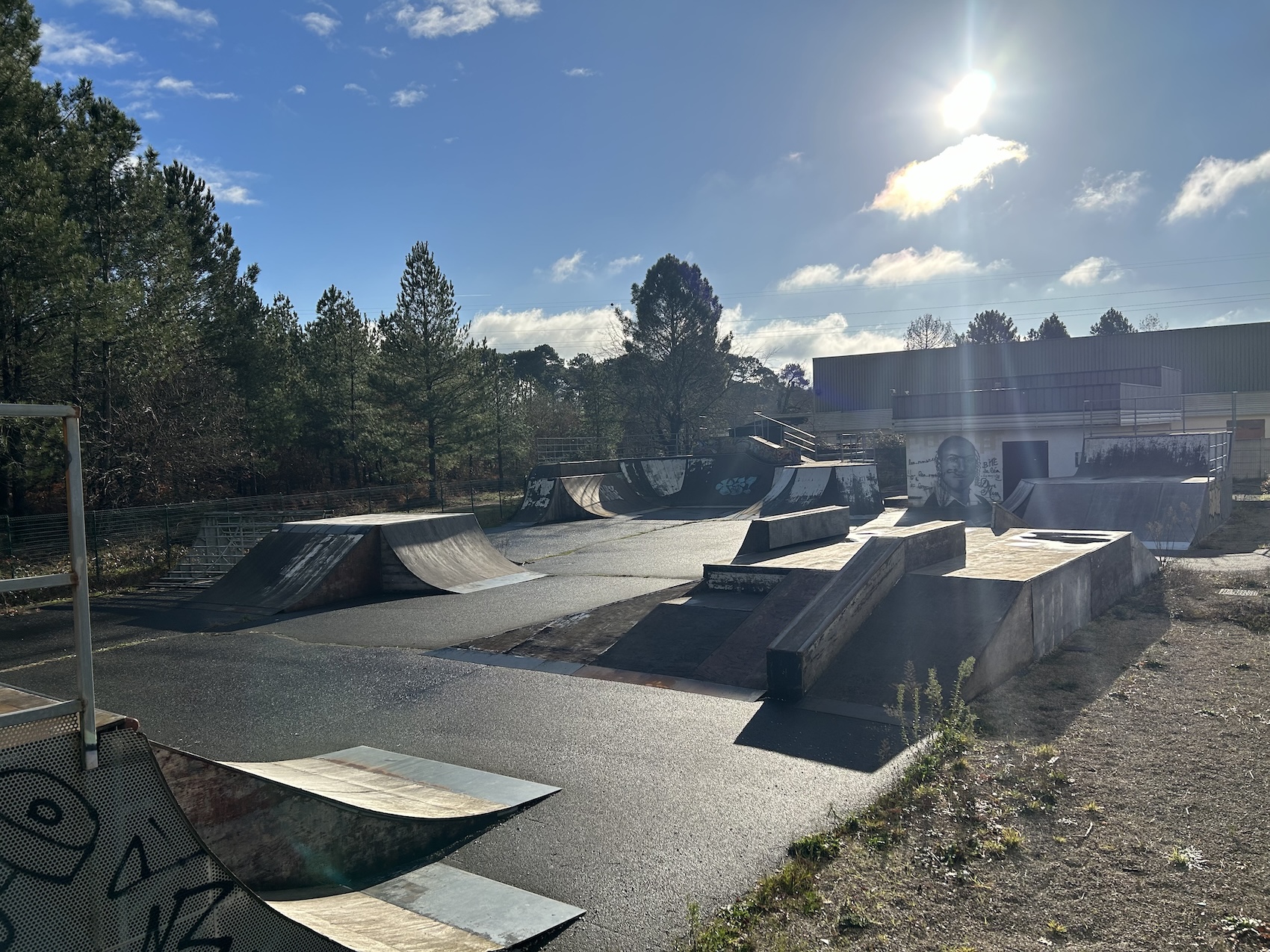 Cestas skatepark